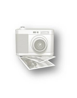 Snowflake Ornament 2